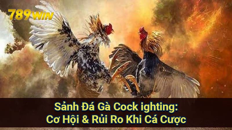 Sảnh Đá Gà Cock ighting: Cơ Hội & Rủi Ro Khi Cá Cược 1 sanh-da-ga-cock-ingting