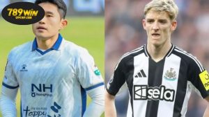 Thông tin lực lượng Ngôi sao Hàn Quốc vs Newcastle mới nhất